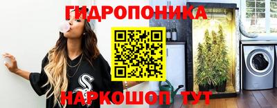прущие крисы Вязьма