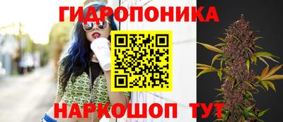 наркотики Вышний Волочёк