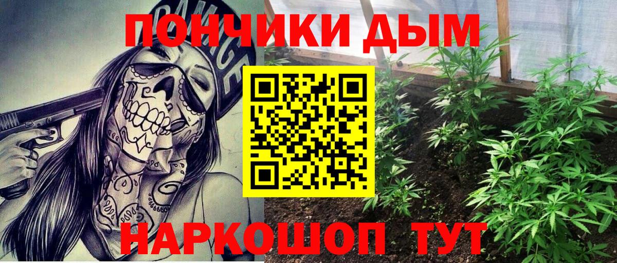 Канабис Bruce Banner Ачхой-Мартан
